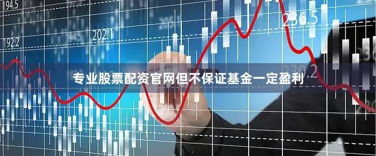 专业股票配资官网但不保证基金一定盈利