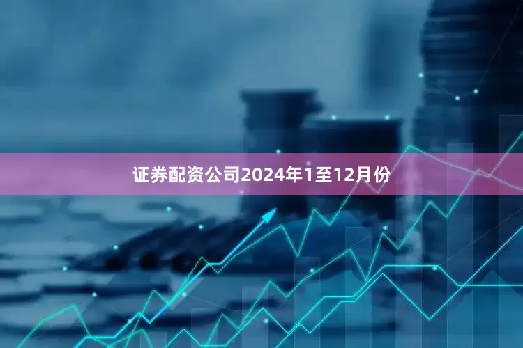 证券配资公司　　2024年1至12月份