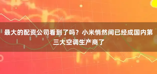 最大的配资公司看到了吗？小米悄然间已经成国内第三大空调生产商了