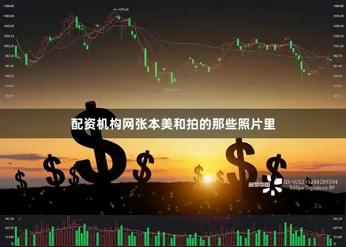 配资机构网张本美和拍的那些照片里